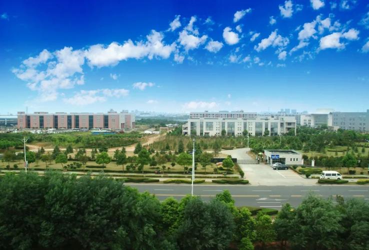 工业互联网产业联盟湖北分联盟专家组调研省内17家5g工厂