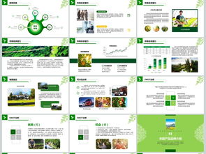 2018互联网+农副产品市场推广企业营销策划案